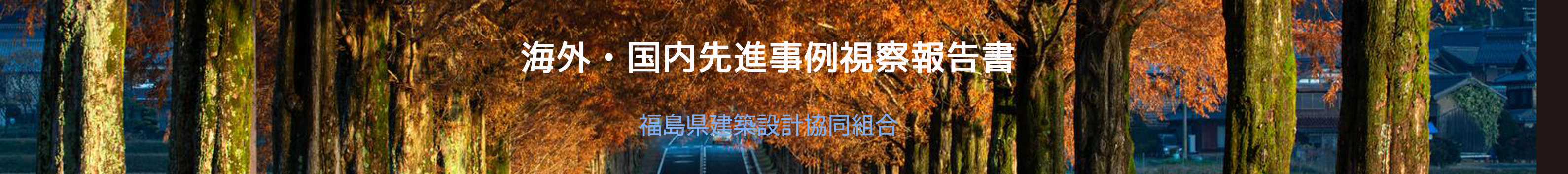 海外・国内先進事例視察報告書